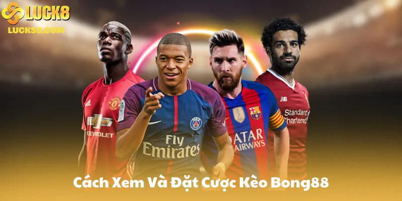 Cách Xem Và Đặt Cược Kèo Bong88 Trên Luck8