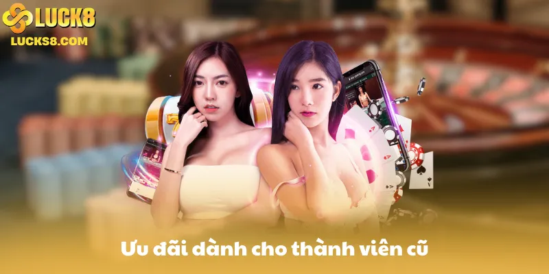 Ưu đãi dành cho thành viên cũ