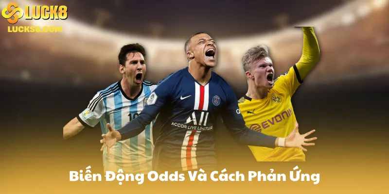 Theo Dõi Biến Động Odds Và Cách Phản Ứng